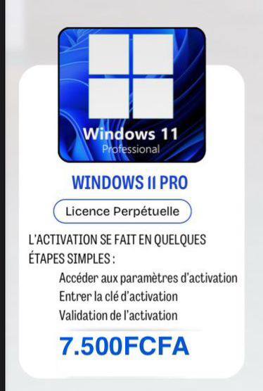 Wondows 11 professionnel