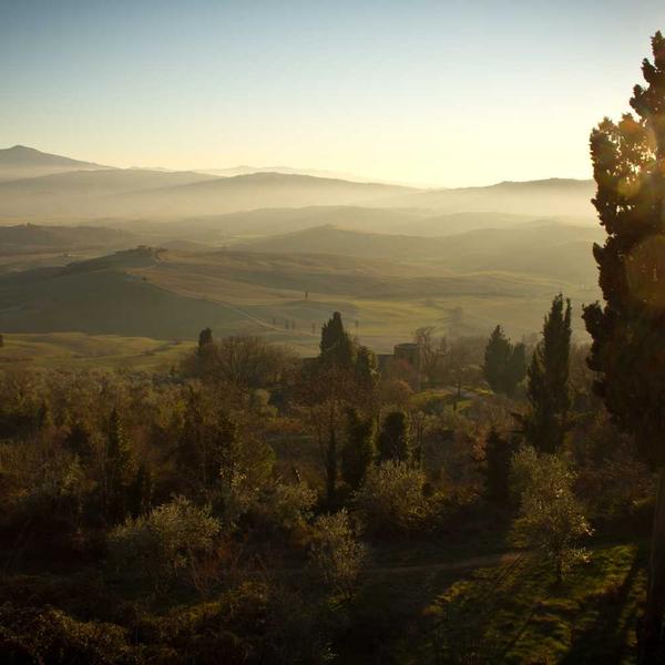 Cisco Catalyst 2960 Switch 24p