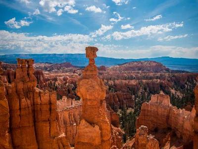 Logitech C920 HD Webcam