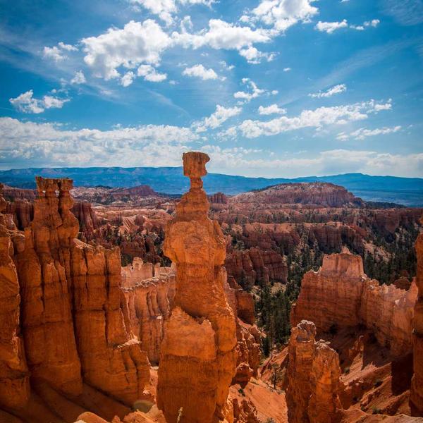 Logitech C920 HD Webcam