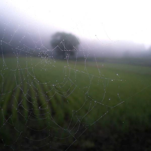 Logitech MX Master 3S Souris